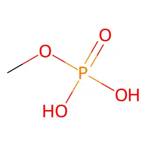 Methyl dihydrogen phosphate structure
