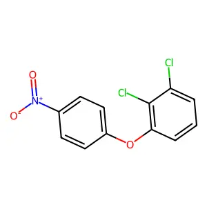 1,2-Dichloro-3-(4-nitrophenoxy)benzene structure