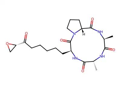 HC Toxin structure
