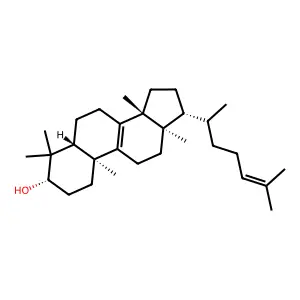 lanosterol structure