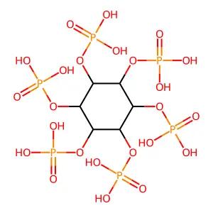 Phytate structure