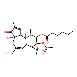 [13-acetyloxy-1,6-dihydroxy-8-(hydroxymethyl)-4,12,12,15-tetramethyl-5-oxo-14-tetracyclo[8.5.0.02,6.011,13]pentadeca-3,8-dienyl] hexanoate structure