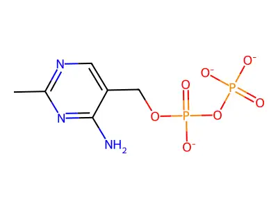 HMP-PP structure