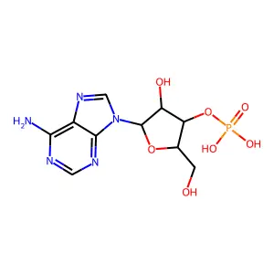 Adenosine 3'-phosphate structure
