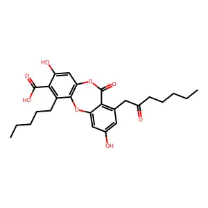 Physodic acid structure