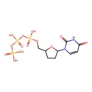 ddUTP structure