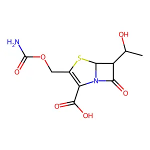 Ritipenem structure