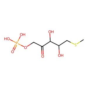 1-Pmt-ribulose structure