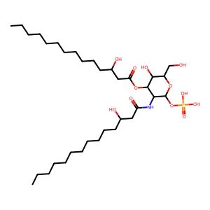 lipid X structure