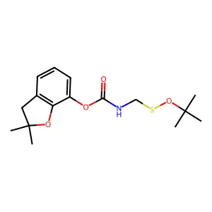 Carbamic acid, ((1,1-dimethylethoxy)thio)methyl-, 2,3-dihydro-2,2-dimethyl-7-benzofuranyl ester structure
