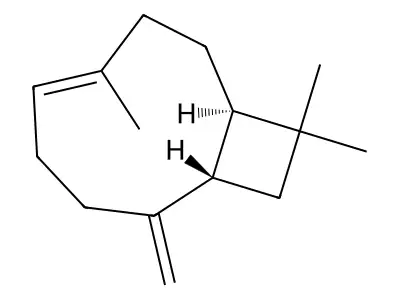 Caryophyllene structure