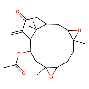 (5,10,17,17-tetramethyl-14-methylidene-15-oxo-4,9-dioxatetracyclo[11.3.1.03,5.08,10]heptadecan-12-yl) acetate structure