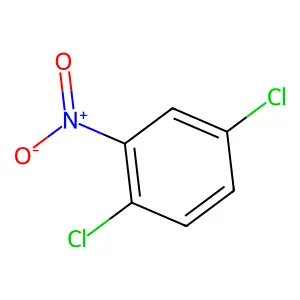 Compound C6H3Cl2NO2 structure
