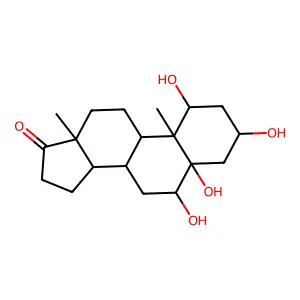 1,3,5,6-Tetrahydroxyandrostan-17-one structure
