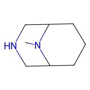 Compound C8H16N2 structure