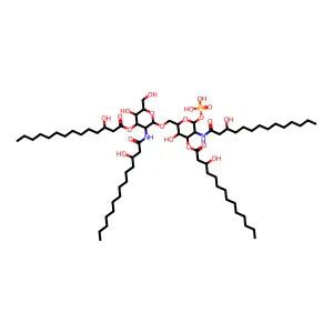 lipid A disaccharide structure