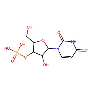3'-Uridylic acid structure