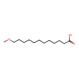 12-methoxydodecanoic acid structure