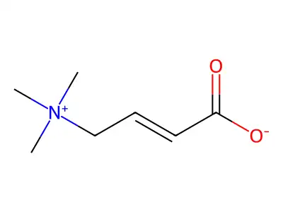 Crotonobetaine structure