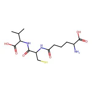 Acv tripeptide structure