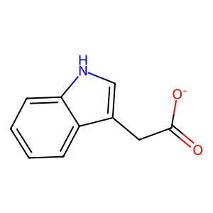indole-3-acetate structure