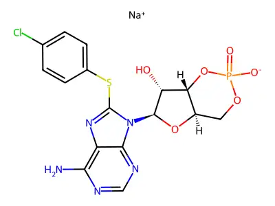 8-Cpt-camp structure