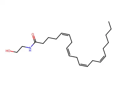 Anandamide structure