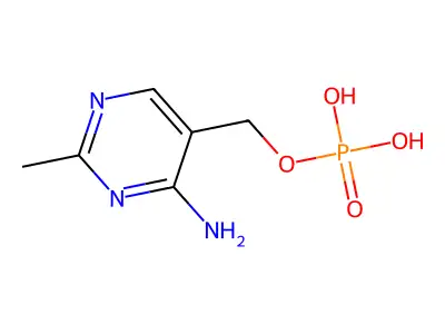 HMP-P structure