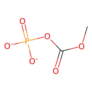 Prokan structure