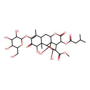 Yadanzioside B structure