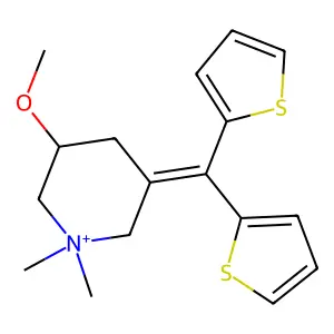 Timepidium structure