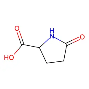 L-Pyroglutamic acid structure