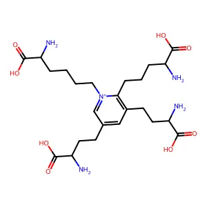 Compound C24H40N5O8+ structure