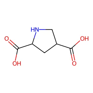 Pyrrolidine-2,4-dicarboxylic acid structure