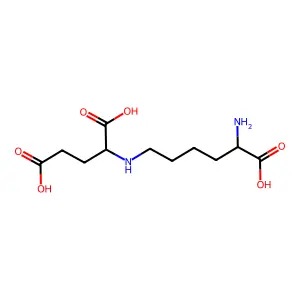 saccharopine structure