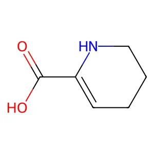 1,2,3,4-tetrahydropyridine-6-carboxylic acid structure