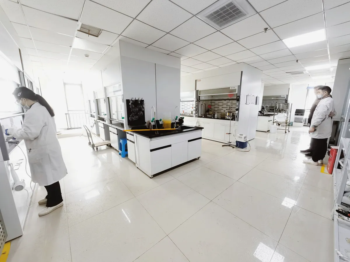 R&D Lab 2