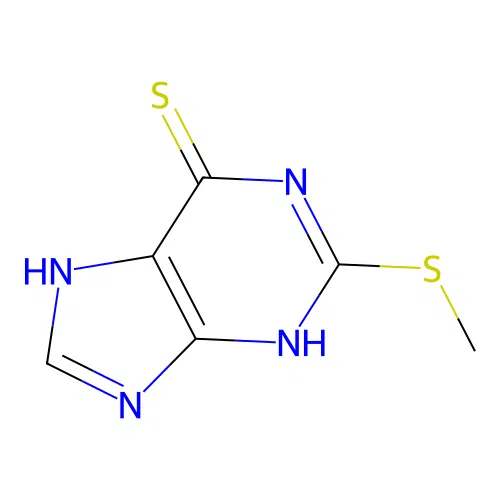 2-Methylsulfanyl-3,7-dihydropurine-6-thione structure