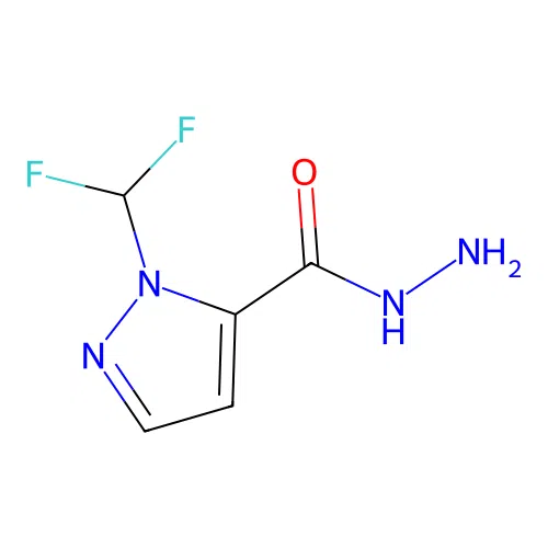 1-(difluoromethyl)-1H-pyrazole-5-carbohydrazide structure
