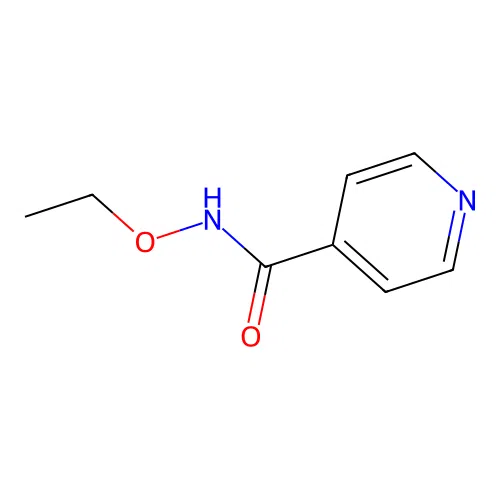 N-ethoxypyridine-4-carboxamide structure