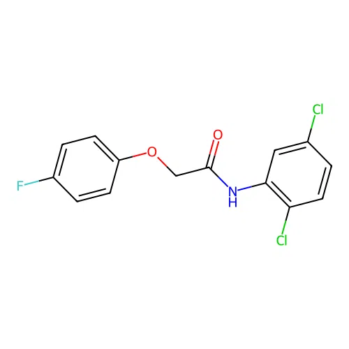 N-(2,5-dichlorophenyl)-2-(4-fluorophenoxy)acetamide structure