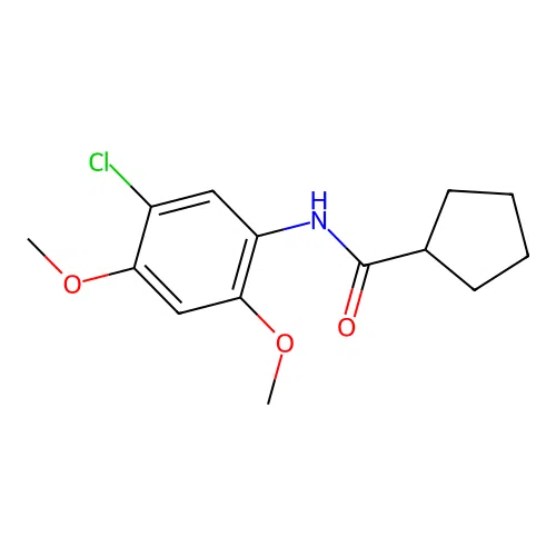 N-(5-chloro-2,4-dimethoxyphenyl)cyclopentanecarboxamide structure