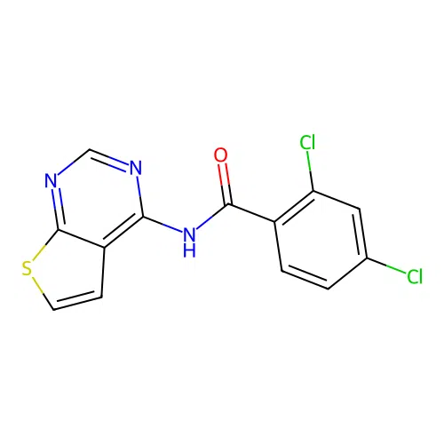 2,4-dichloro-N-(thieno[2,3-d]pyrimidin-4-yl)benzamide structure