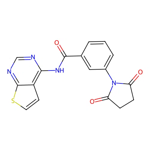 3-(2,5-dioxopyrrolidin-1-yl)-N-(thieno[2,3-d]pyrimidin-4-yl)benzamide structure