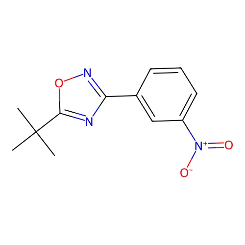 5-Tert-butyl-3-(3-nitrophenyl)-1,2,4-oxadiazole structure