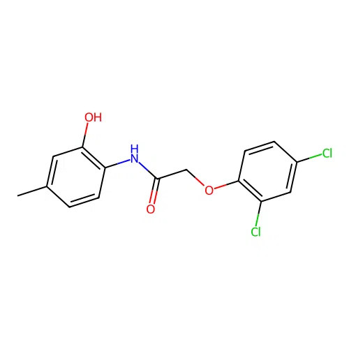 2-(2,4-dichlorophenoxy)-N-(2-hydroxy-4-methylphenyl)acetamide structure