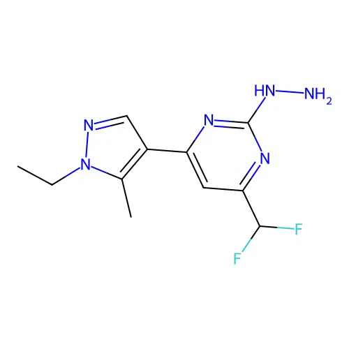 4-(difluoromethyl)-6-(1-ethyl-5-methyl-1H-pyrazol-4-yl)-2-hydrazinylpyrimidine structure