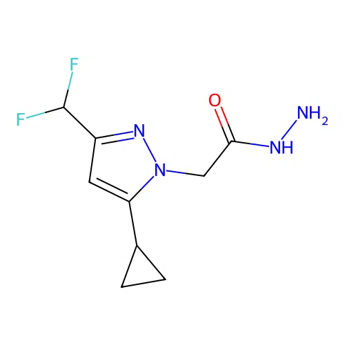 2-[5-cyclopropyl-3-(difluoromethyl)-1H-pyrazol-1-yl]acetohydrazide structure