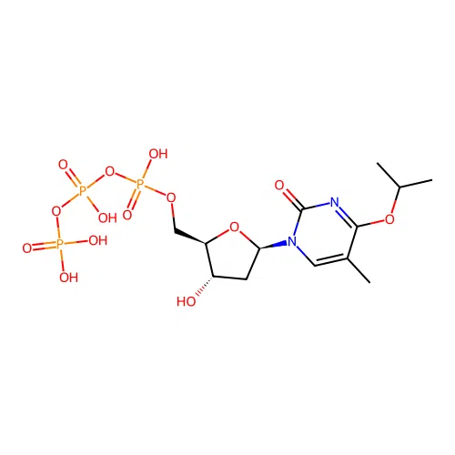 O(4)-Isopropylthymidine 5'-phosphate structure