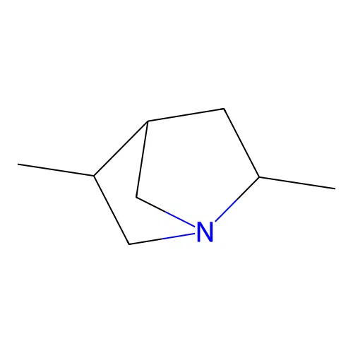 2,5-Dimethyl-1-aza-bicyclo[2.2.1]heptane structure